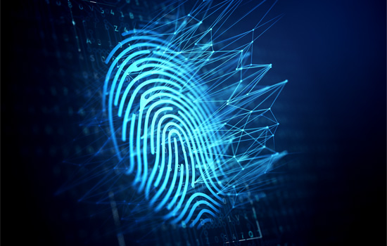 Is the Revival of Digital Fingerprinting Good for Businesses? Here’s Everything You Need to Know