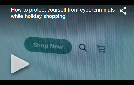 Holiday Online Shopping Safety Tips